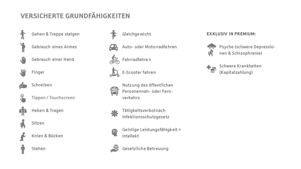 Liste der unterstützten Grundfähigkeiten, darunter Gehen, Schreiben, Heben und exklusive Leistungen wie psychische Erkrankungen.