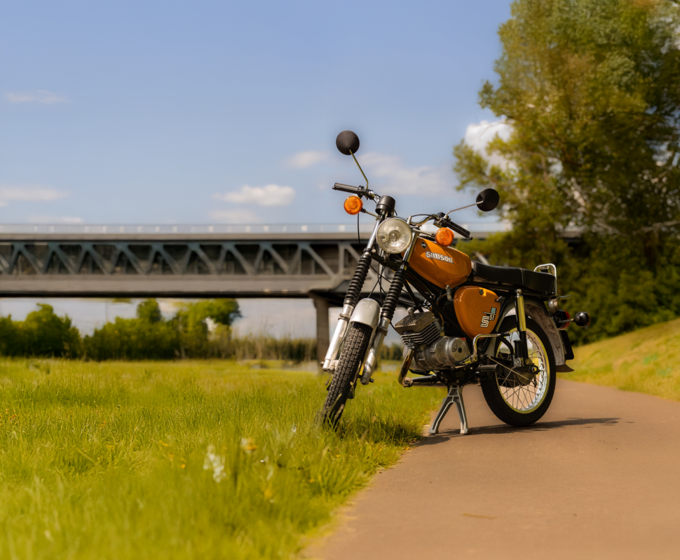 Grauer Roller steht auf einem Feldweg, umgeben von Feldern und unter bewölktem Himmel.