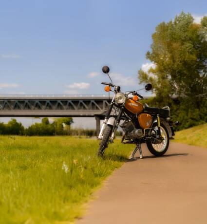 Grauer Roller steht auf einem Feldweg, umgeben von Feldern und unter bewölktem Himmel.