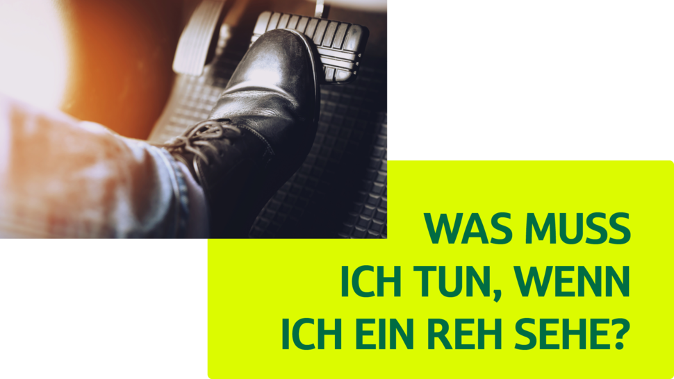 Schwarzer Schuh auf einem Gaspedal mit dem Text: „Was muss ich tun, wenn ich ein Reh sehe?“ in auffälligem Grün.