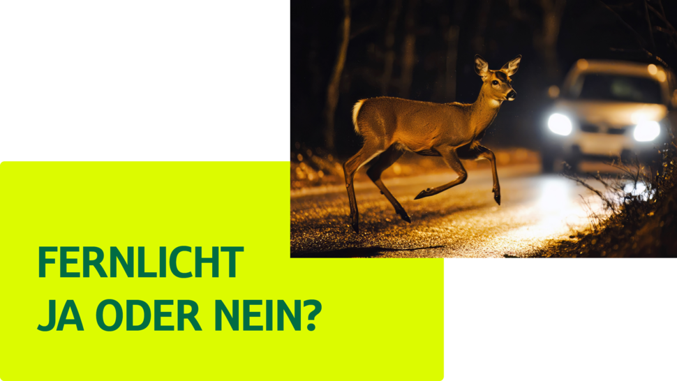 Reh springt über eine Straße, während ein Auto mit eingeschaltetem Fernlicht naht. Text fragt: "Fernlicht ja oder nein?"