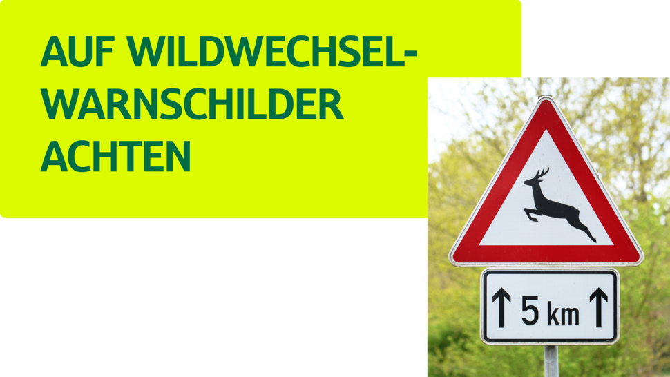Wildwechsel-Warnschild mit einem springenden Reh und der Entfernung von 5 km. Hintergrund in hellem Grün.
